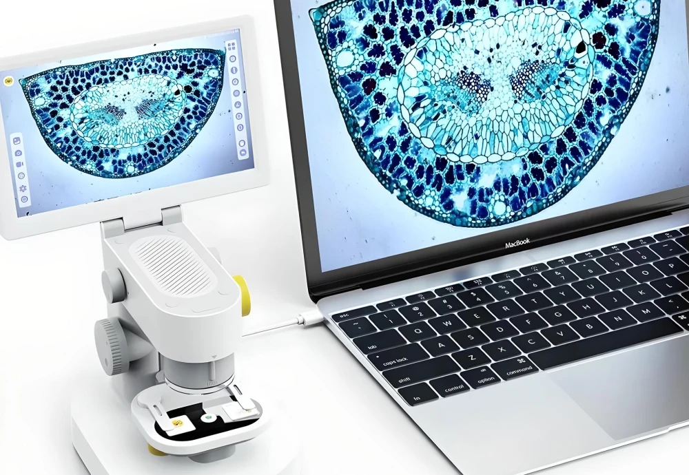 digital microscope 500x