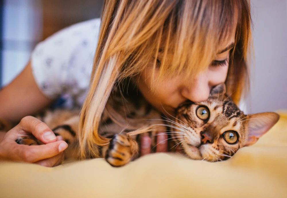 the best pet camera