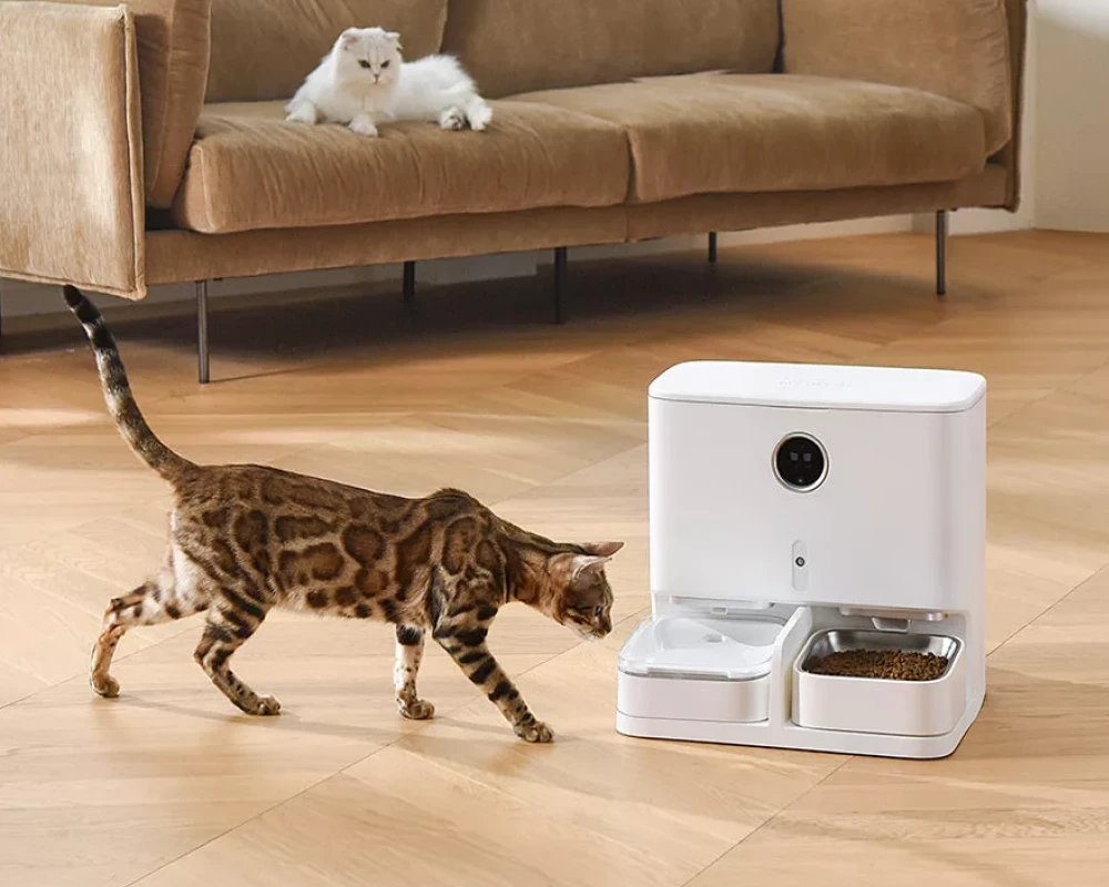 automatic dog food feeder